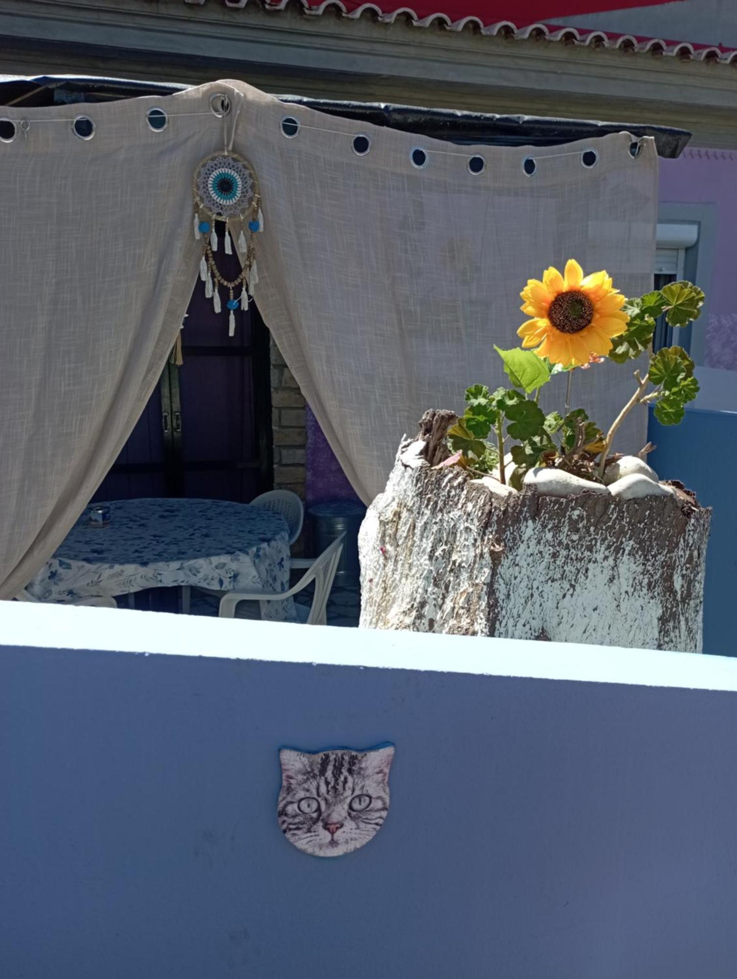 La Gatta Studio Gaios Extérieur photo